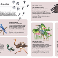 Mon coffret d'observation des oiseaux