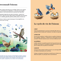 Mon coffret d'observation des oiseaux