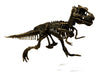 Chasseurs de dinosaures